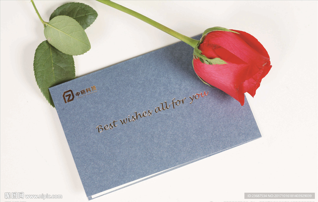 VI样机智能贴图模版效果图