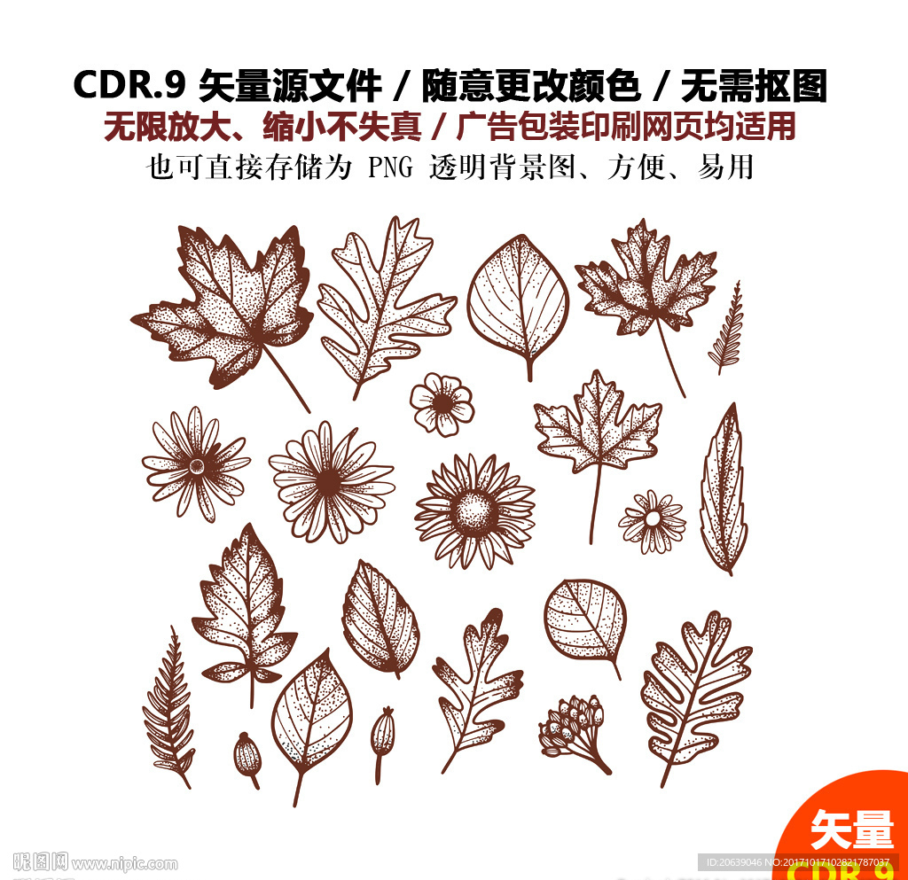 精美手绘树叶花朵枫叶矢量图