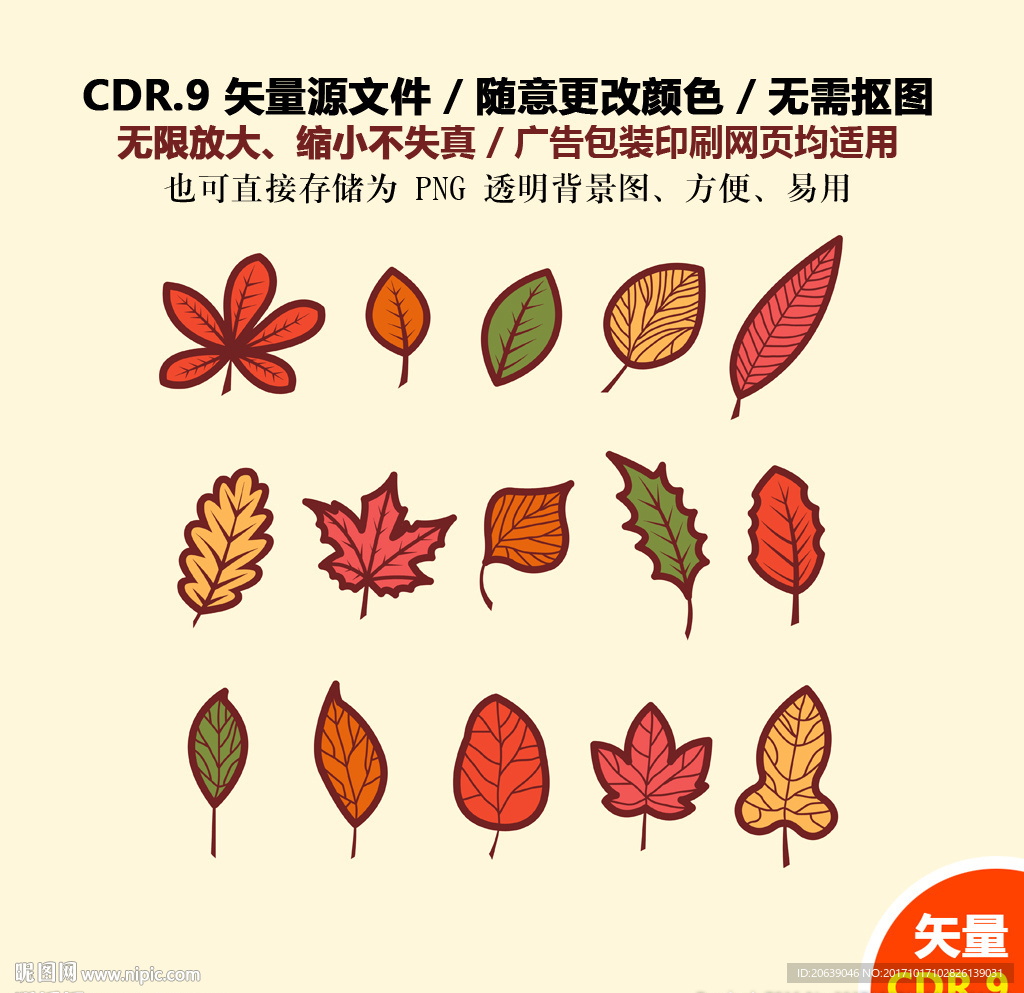 手绘金秋树叶枫叶林矢量图