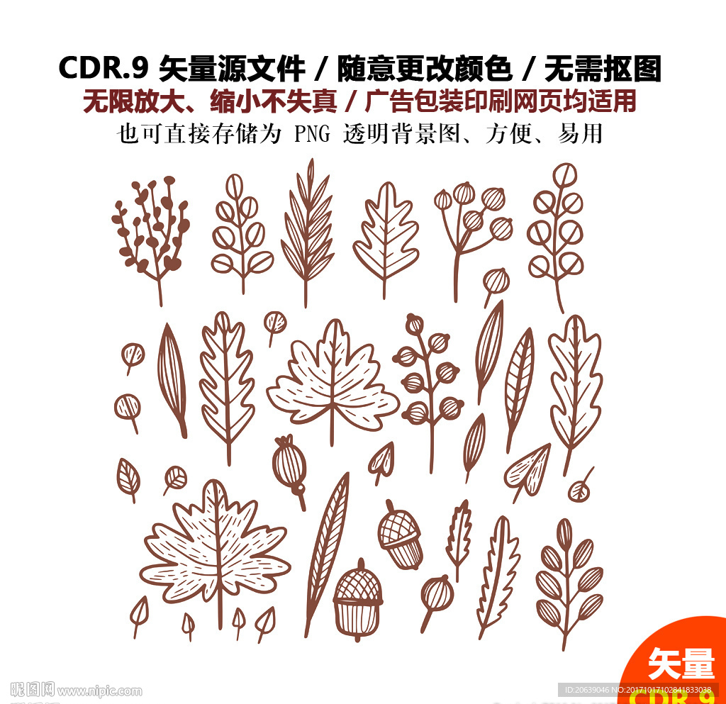 手绘线描树叶矢量图标