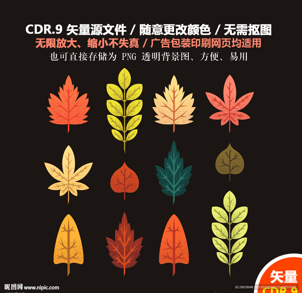 手绘金秋树叶枫叶林矢量图