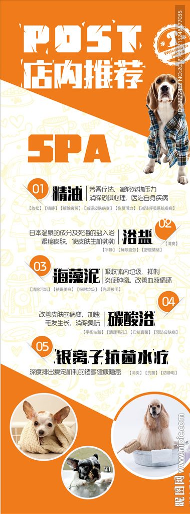 宠物店活动易拉宝