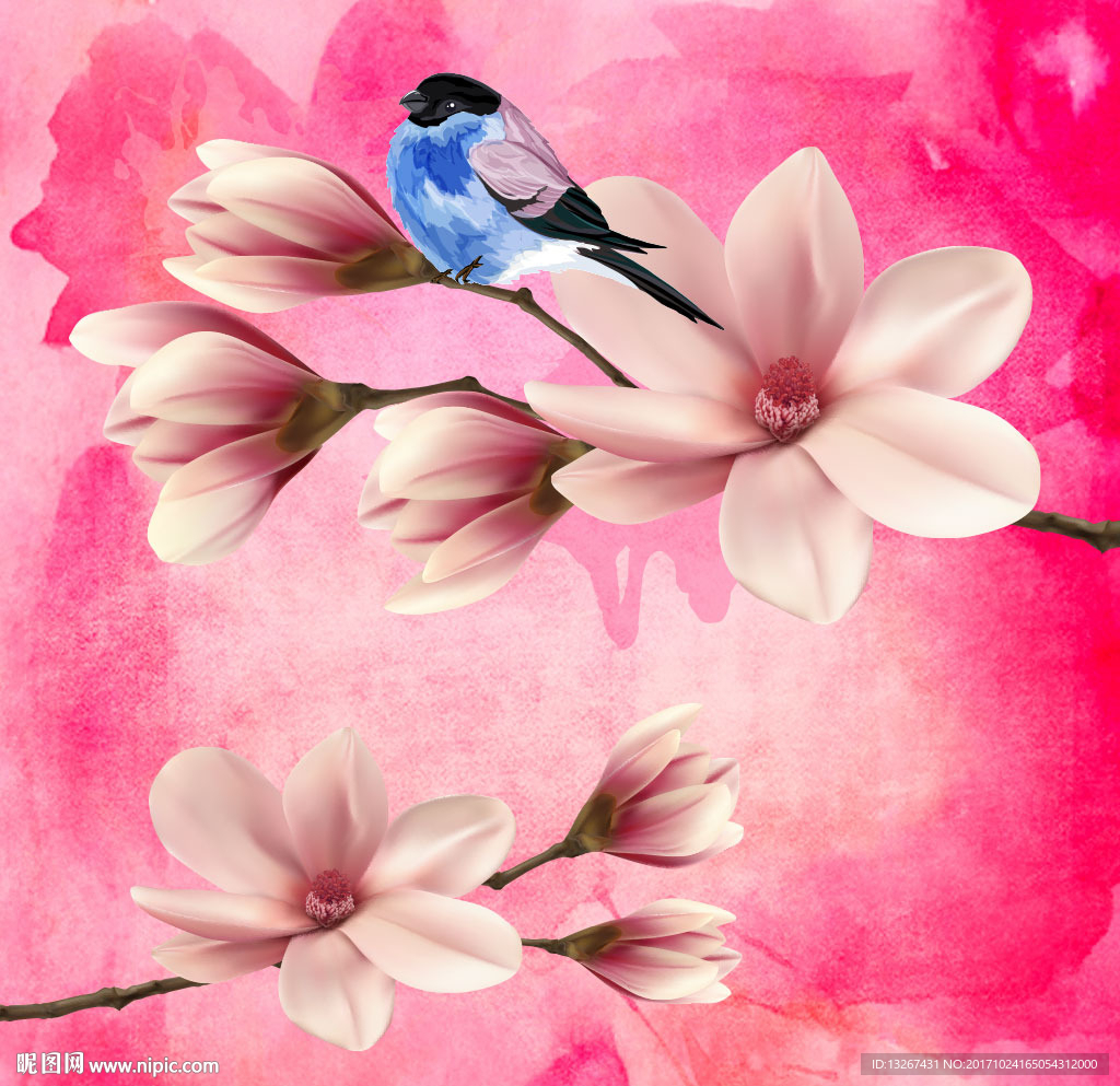 玉兰花水彩花鸟矢量图