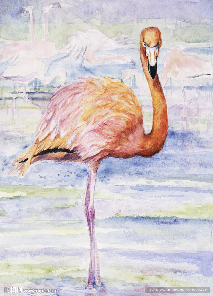 手绘水彩火烈鸟图案