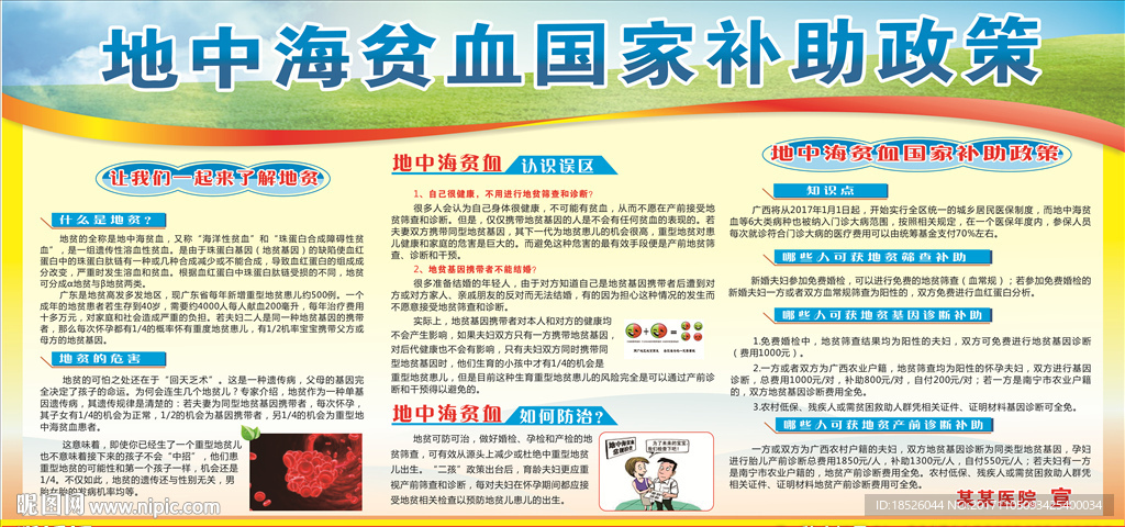 地中海贫血宣传栏