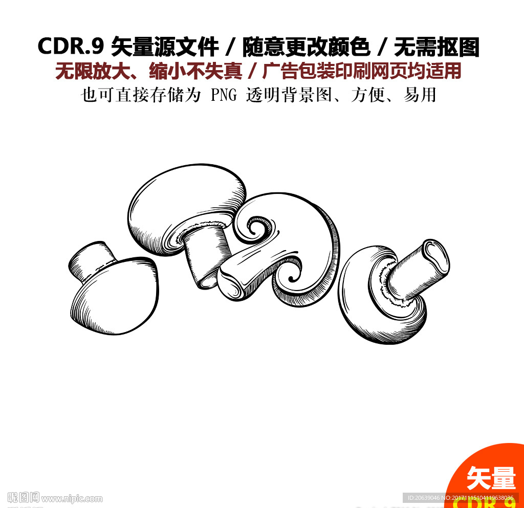 手绘线描蔬菜水果蘑菇矢量图