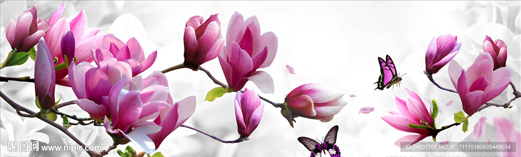 玉兰花   花卉 背景墙画