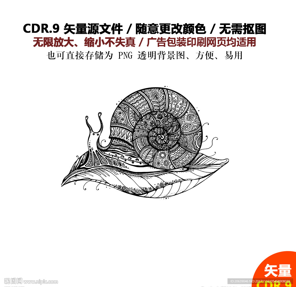 手绘线描蜗牛插画矢量图