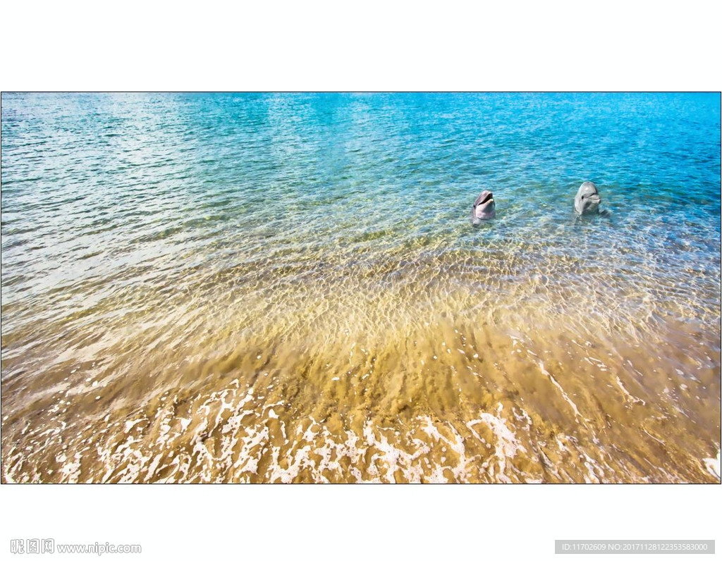 海浪 海洋 海滩高清印刷