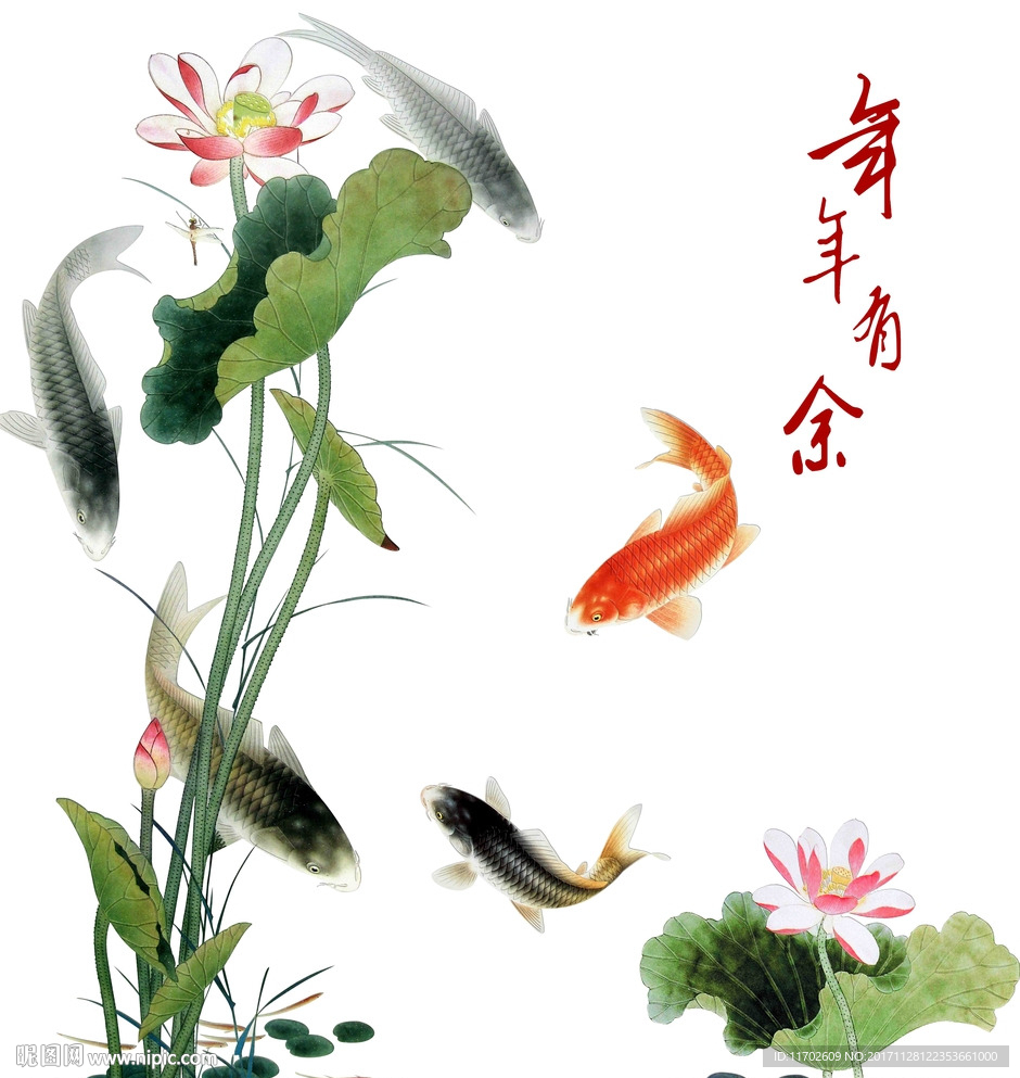荷花5鱼 年年有余高清印刷