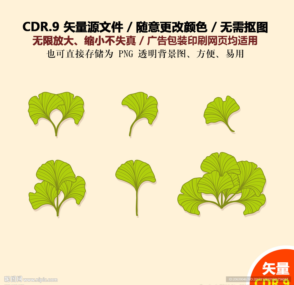 手绘银杏花环纹饰银杏树叶矢量图