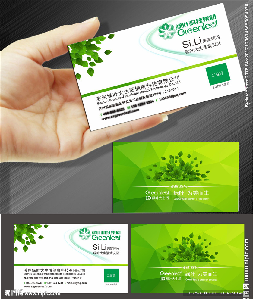 苏州绿叶大生活LOGO绿叶名片