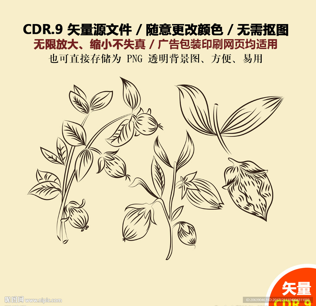 彩色树叶果子叶子插画矢量图