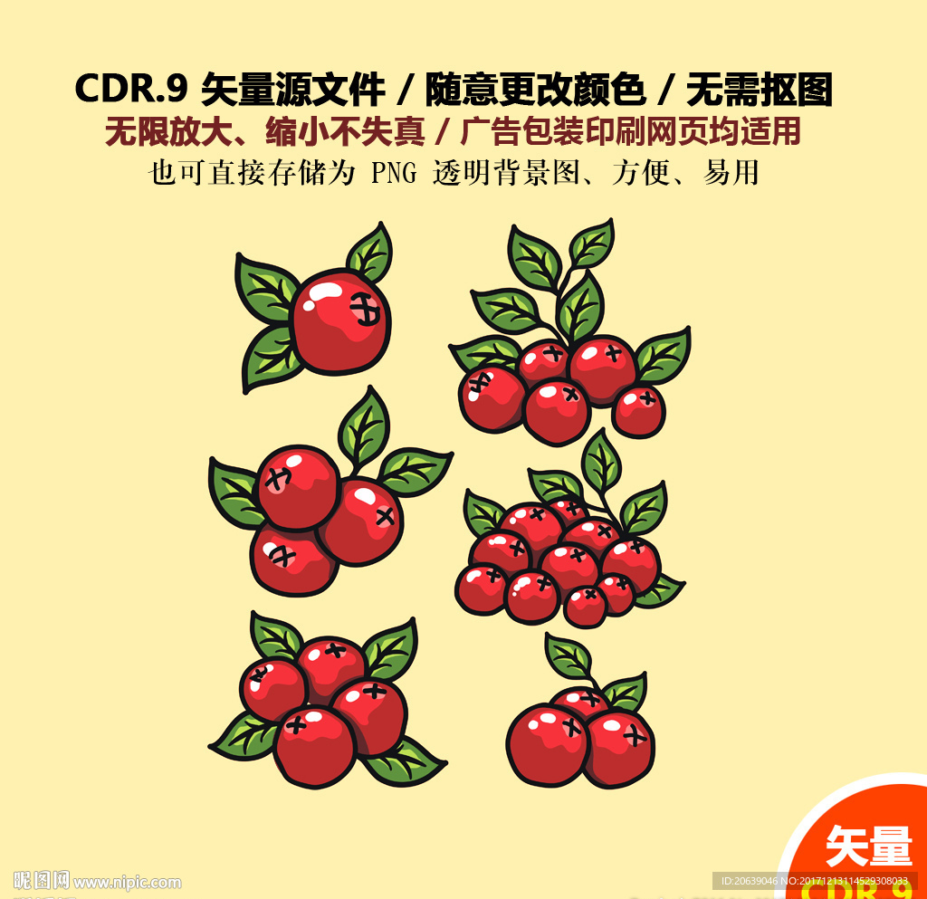 手绘山楂水果山楂矢量图