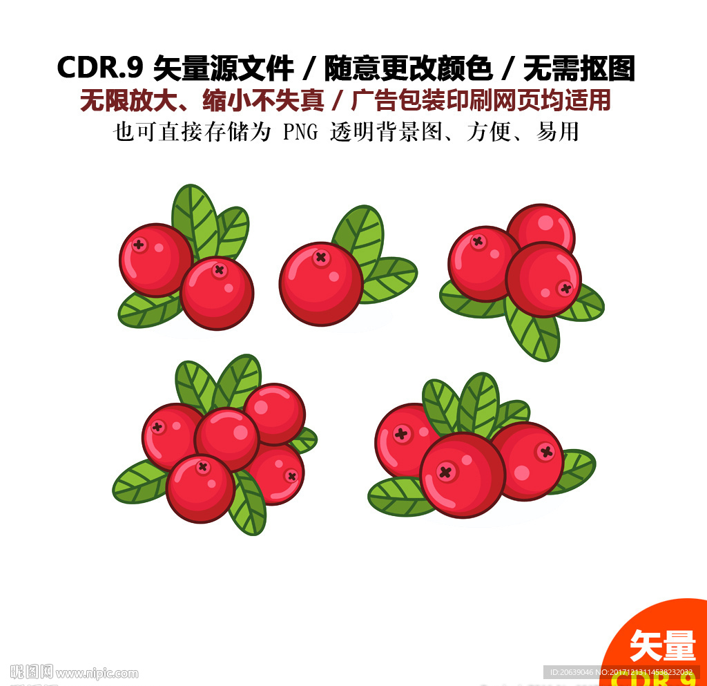 手绘水果红色山楂矢量图