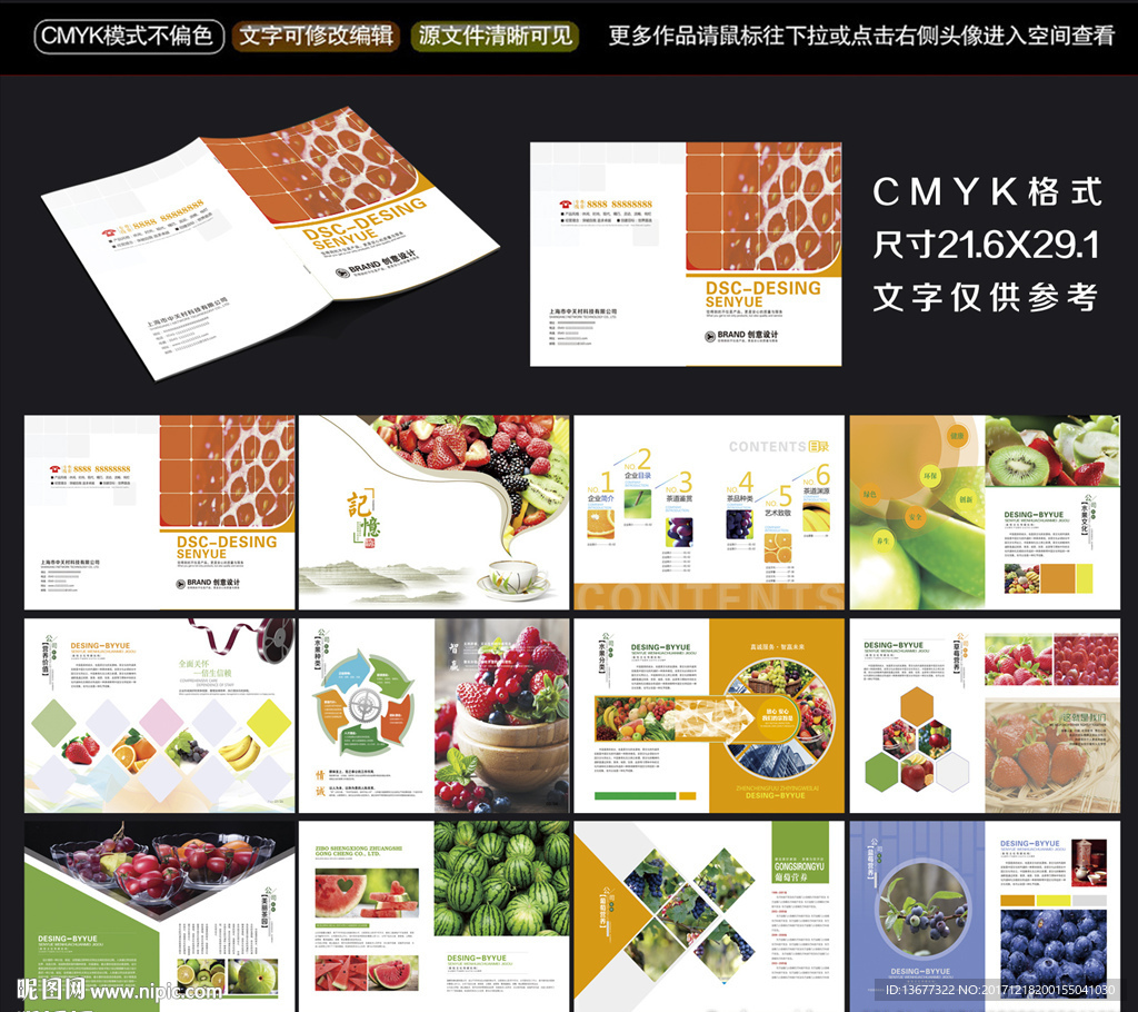 水果宣传画册