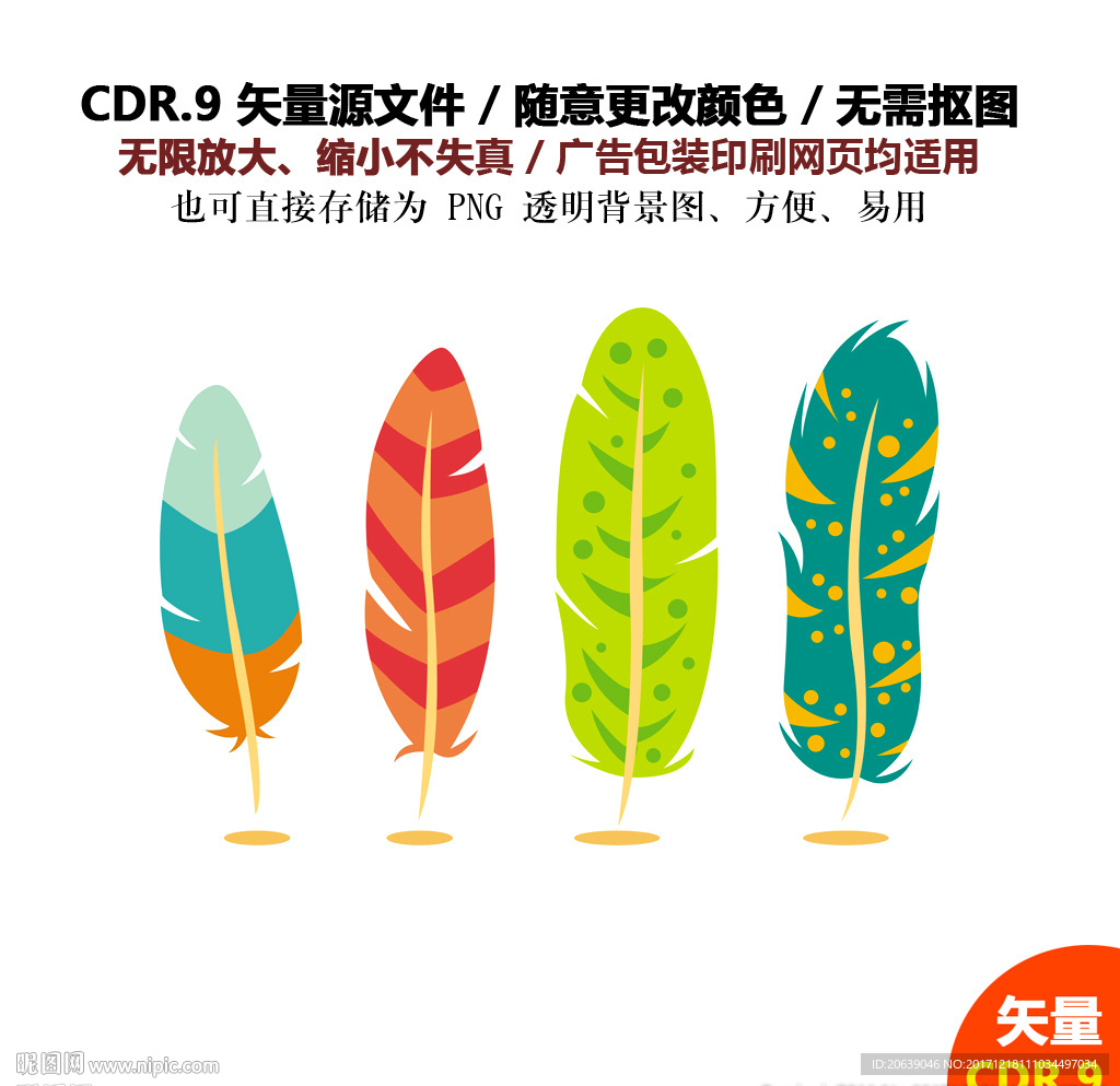 手绘羽毛素材鸡毛矢量图