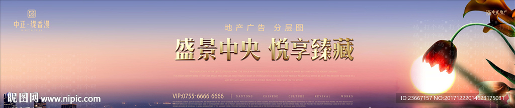 百合 花 百合花 抽象 创意