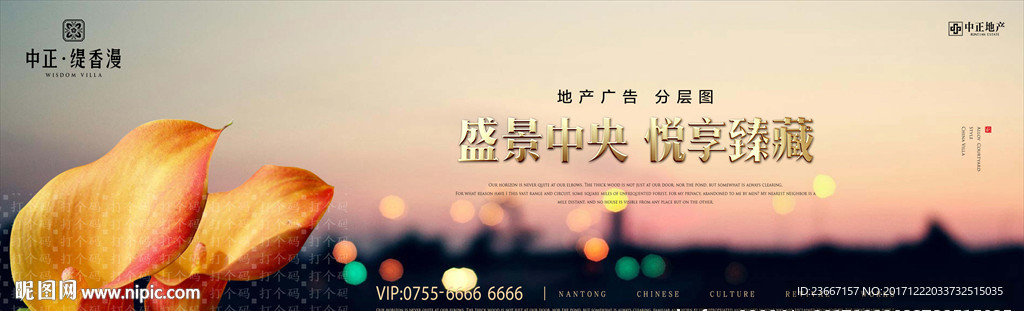 百合花 百合 郁金香 城市 霓