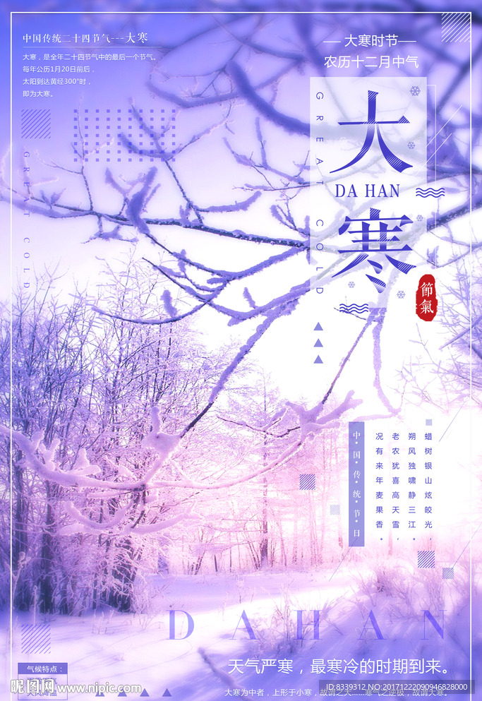 二十四节气之大寒摄影图创意海报