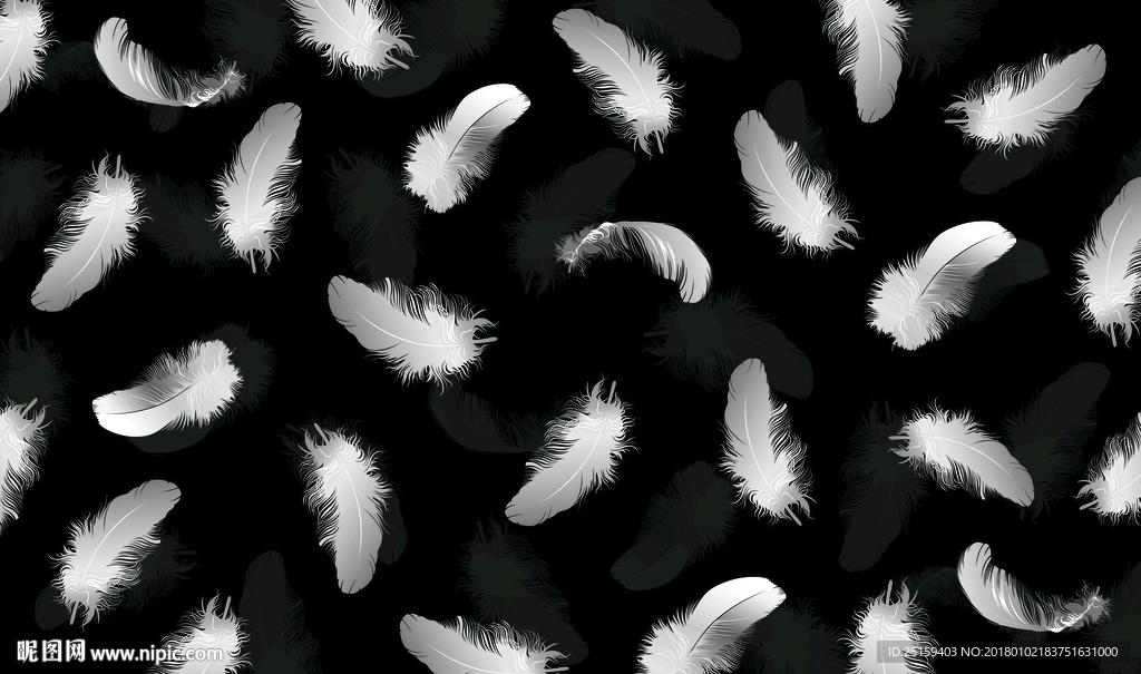 黑白羽毛背景墙装饰画高清图片