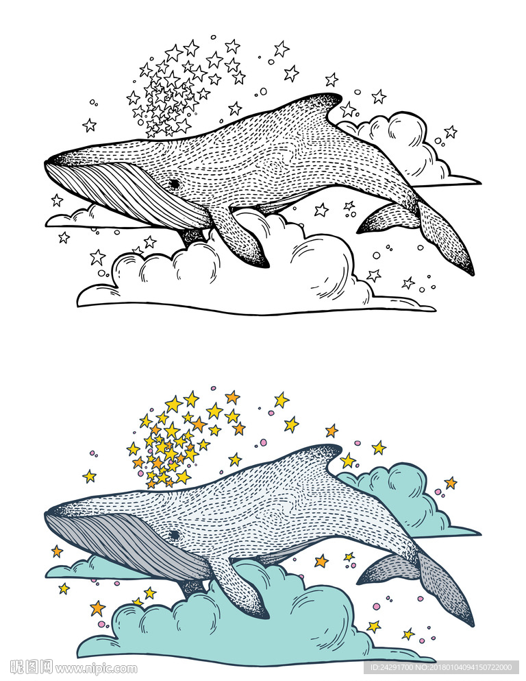 鲸鱼插画