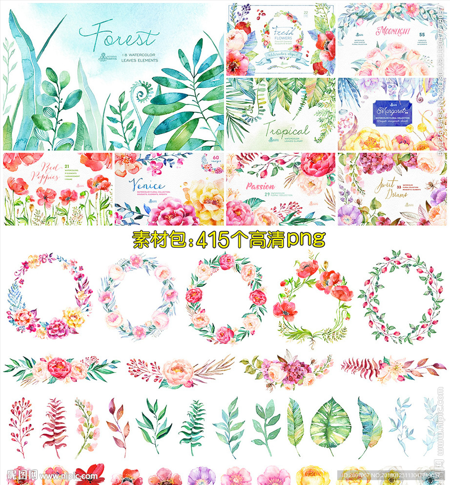 国外手绘花卉植物PNG素材合集