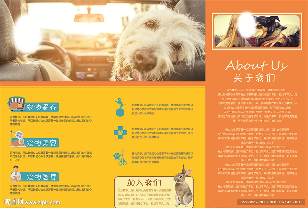 宠物三折页