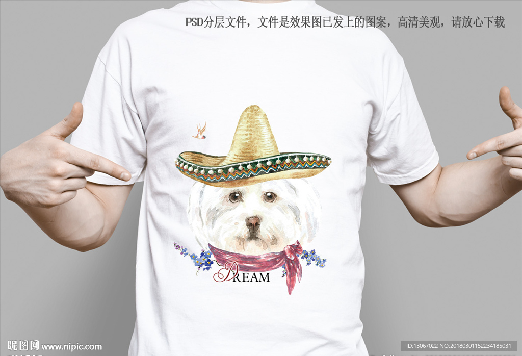 金帽子狗头服装设计