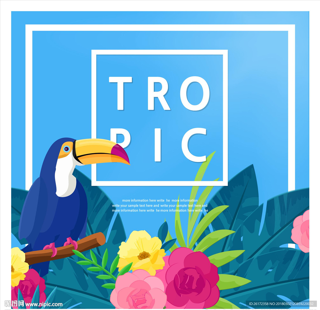 热带植物大嘴鸟背景