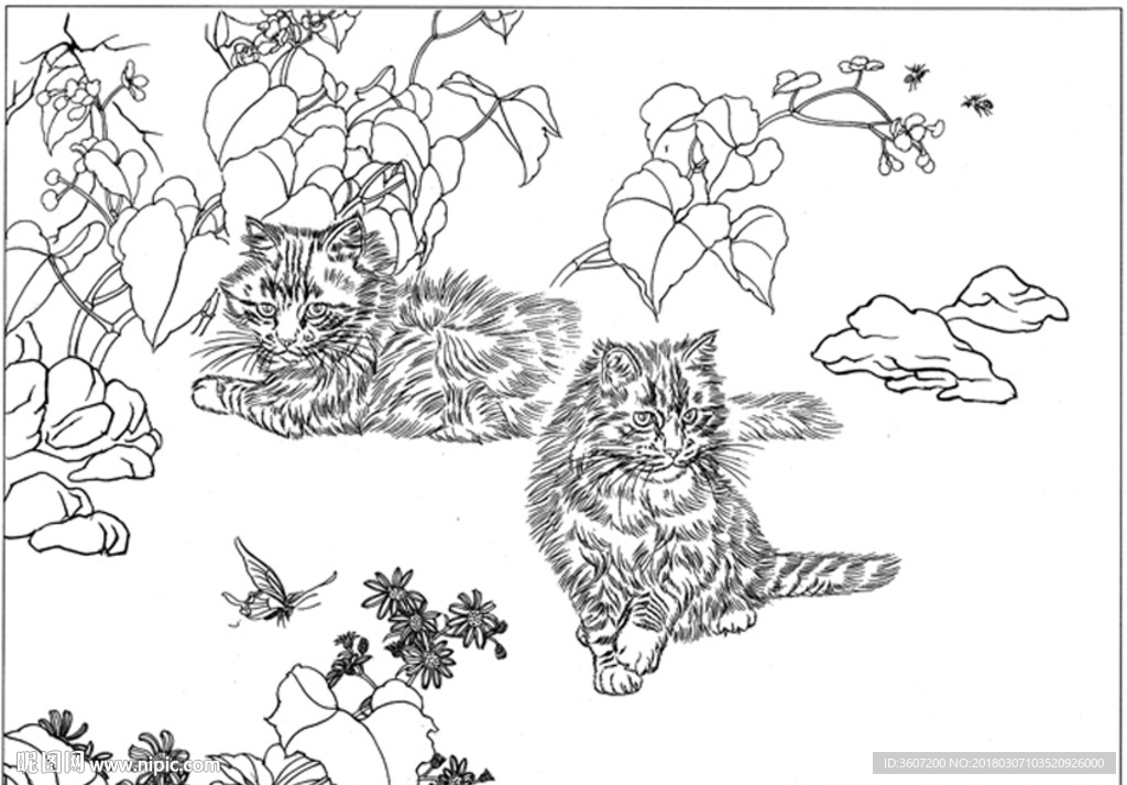 猫咪 素描 线描 白描 国画