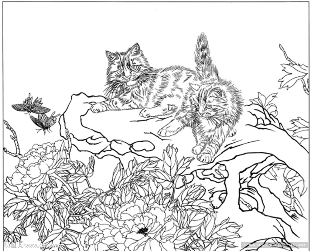 猫咪 素描 线描 白描 国画