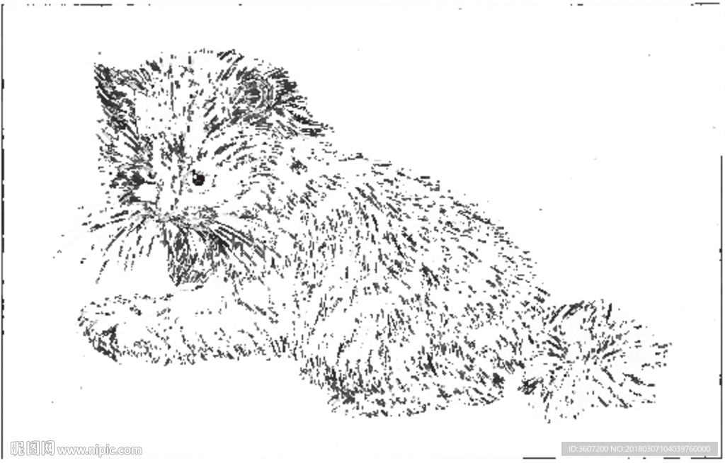 猫咪 素描 线描 白描 国画