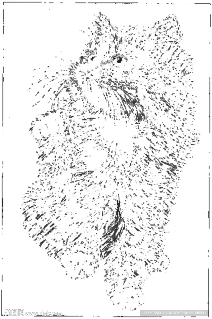 猫咪 素描 线描 白描 国画