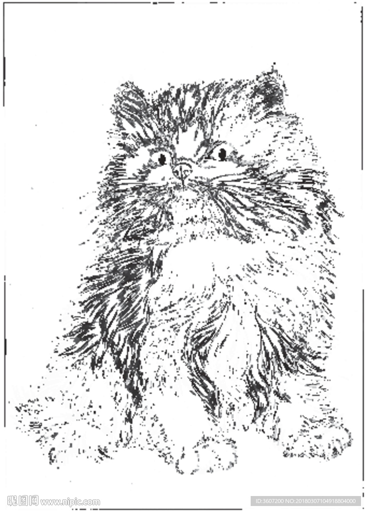 猫咪 素描 线描 白描 国画