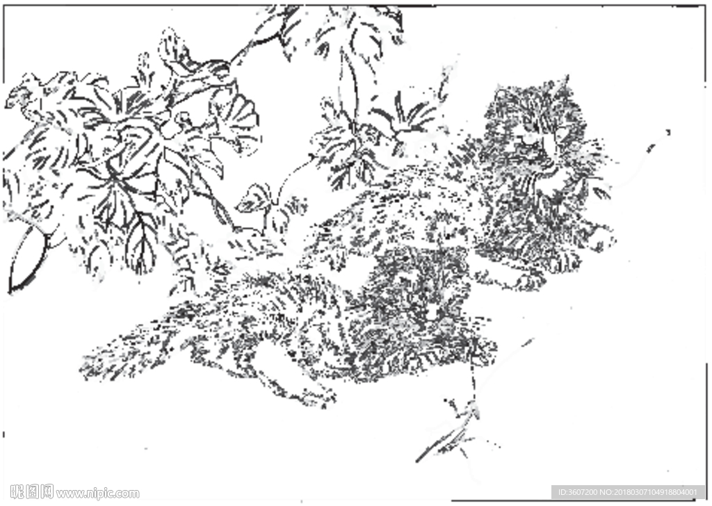 猫咪 素描 线描 白描 国画