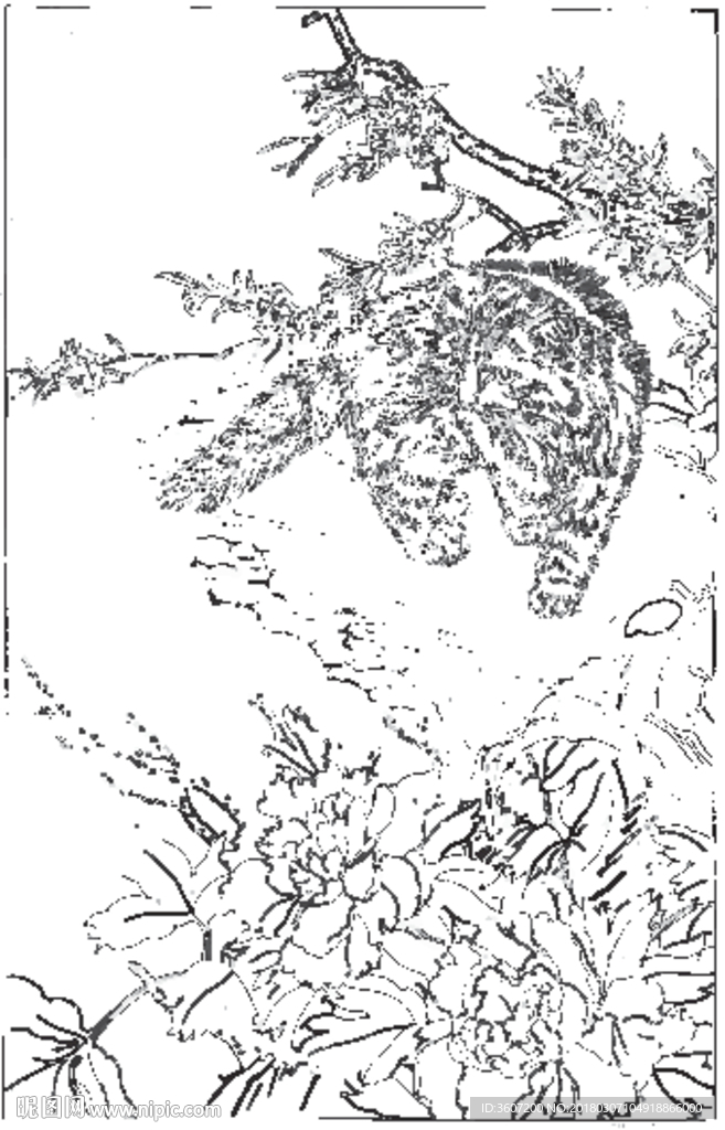 猫咪 素描 线描 白描 国画