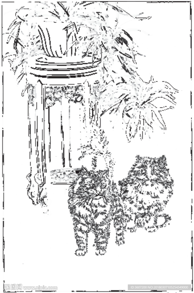 猫咪 素描 线描 白描 国画