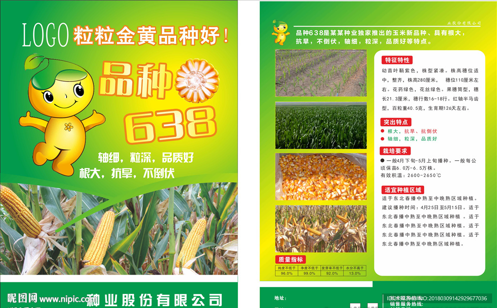 玉米彩页
