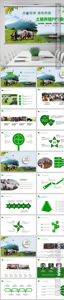 态农业土猪养殖工作动态ppt