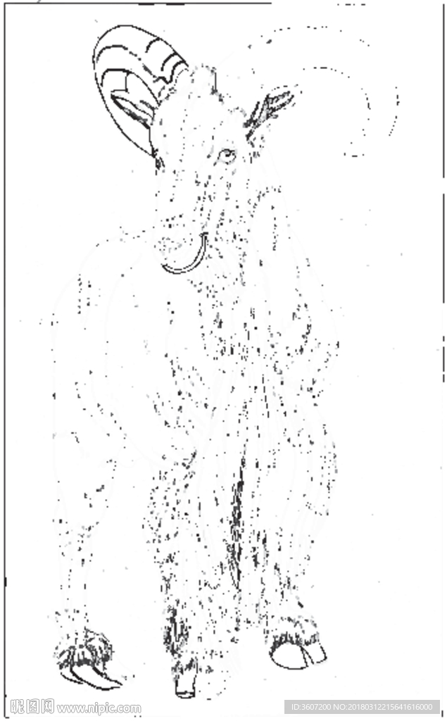 山羊 白描 素描 线描 国画