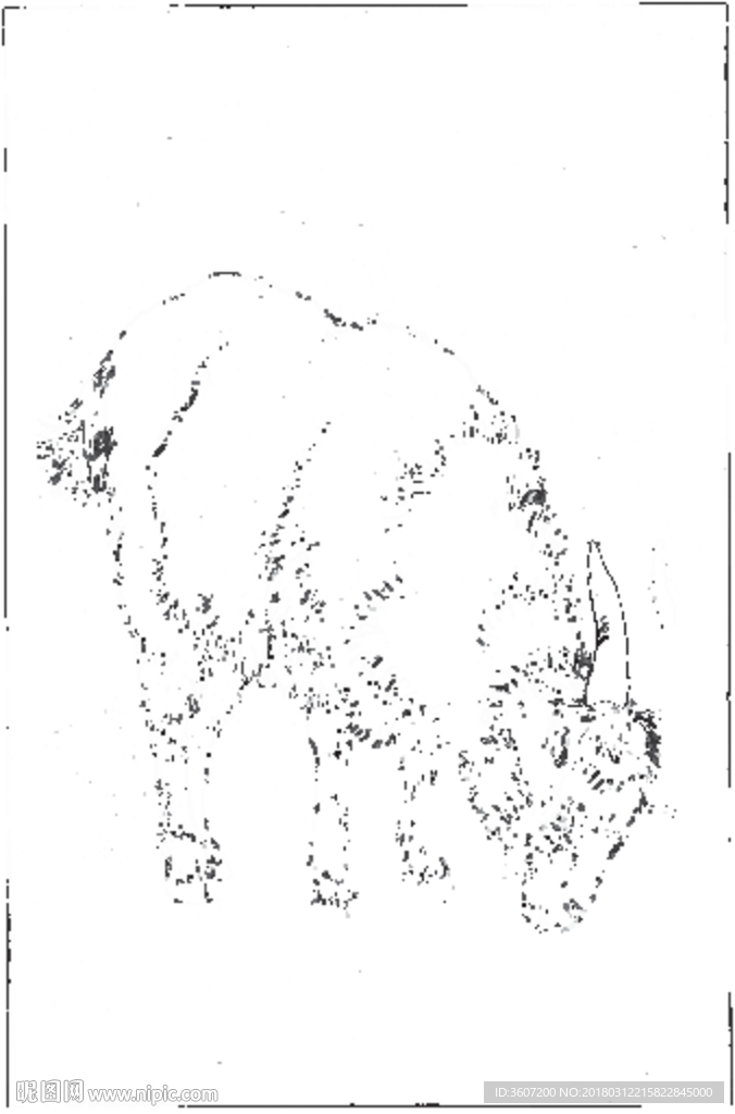 山羊 白描 素描 线描 国画