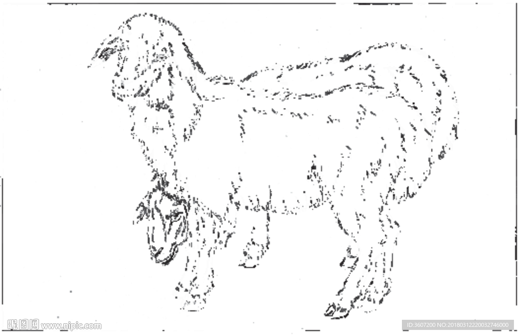 山羊 白描 素描 线描 国画