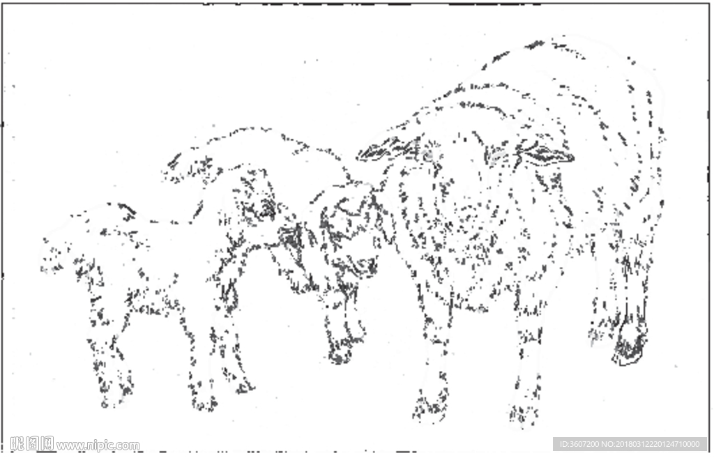 山羊 白描 素描 线描 国画