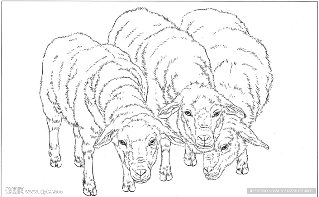 山羊 白描 素描 线描 国画