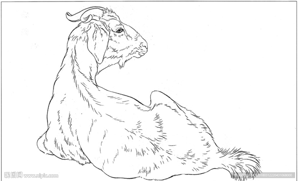 山羊 白描 素描 线描 国画