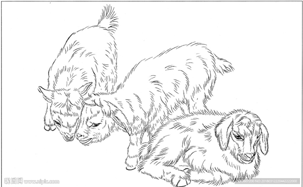 山羊 白描 素描 线描 国画