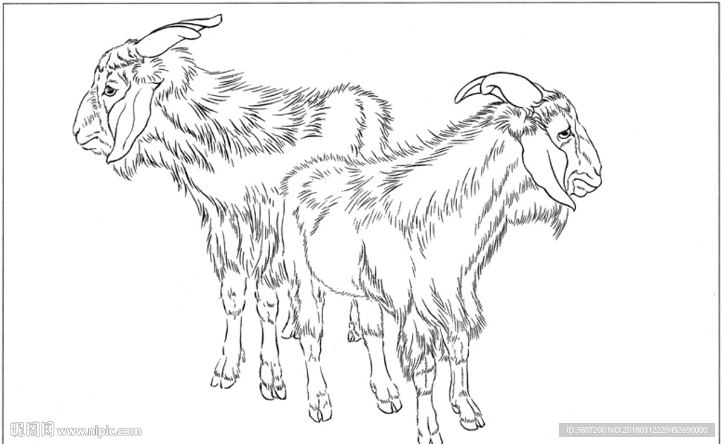 山羊 白描 素描 线描 国画