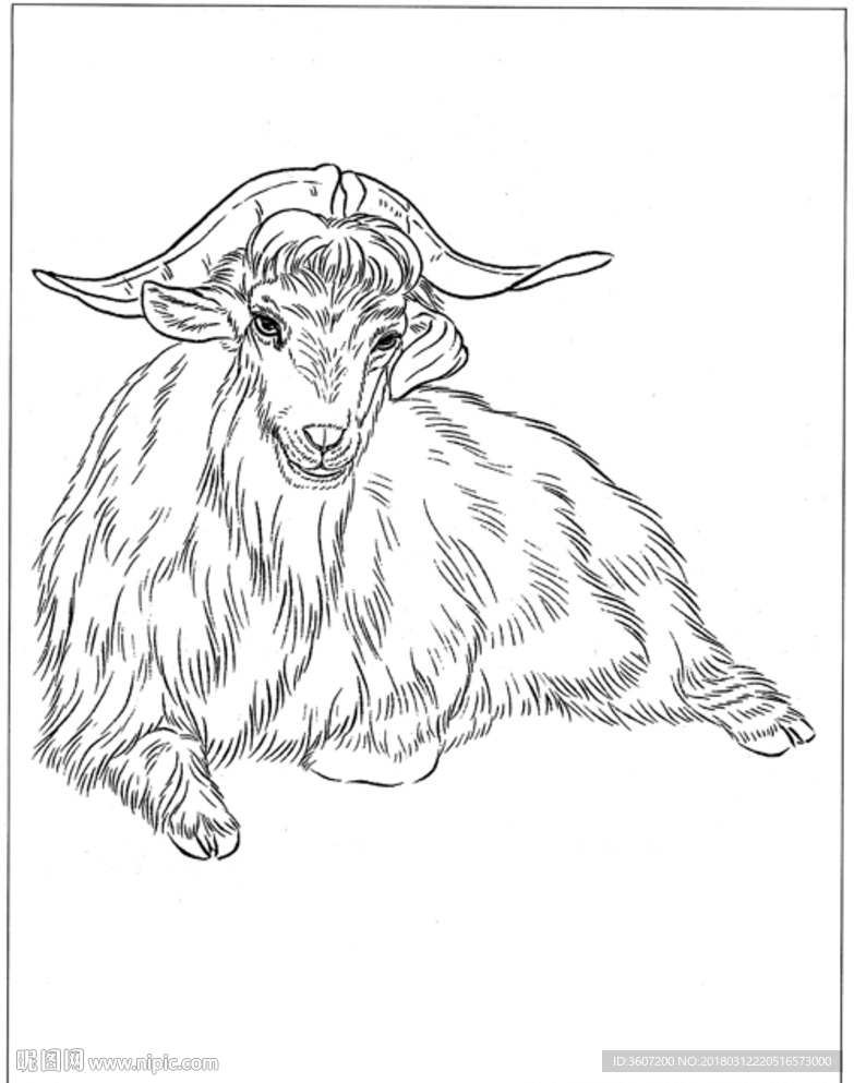山羊 白描 素描 线描 国画