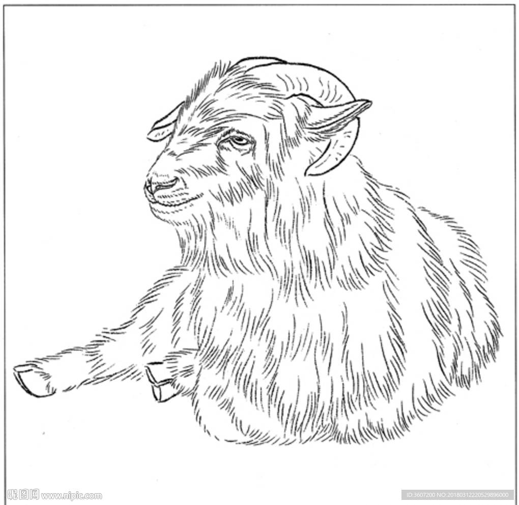 山羊 白描 素描 线描 国画